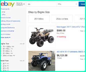 cheap Polaris Cyclone parts