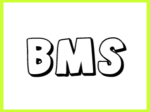 BMS Side by Side UTV parts