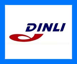 Dinli logo