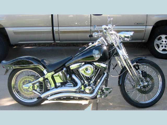 91 Springer Softail